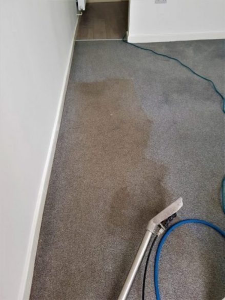 Carpet cleaning in Collins Green